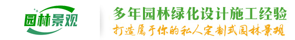 麻豆